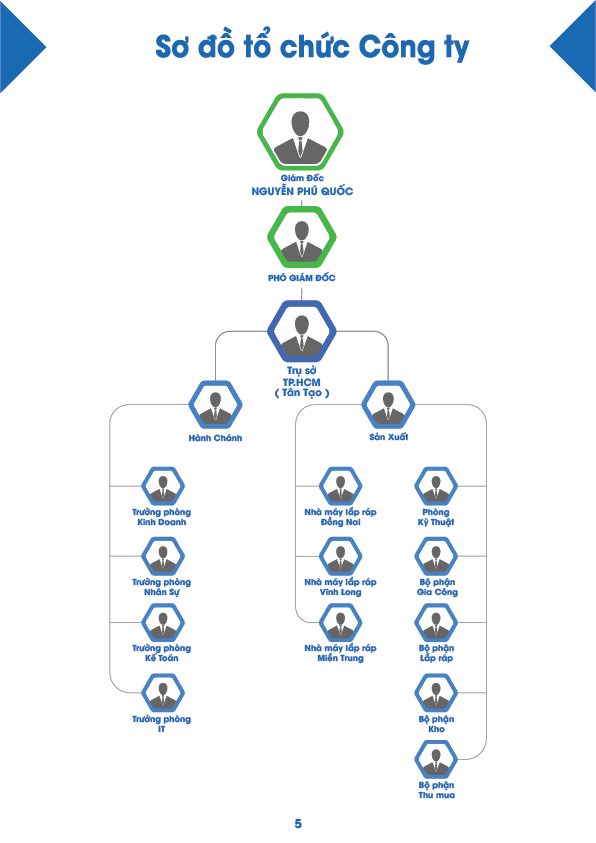 Organizational Chart Company